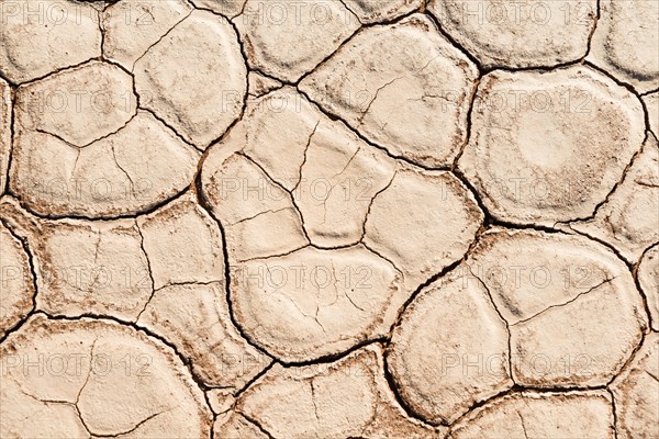 Dried sandy ground