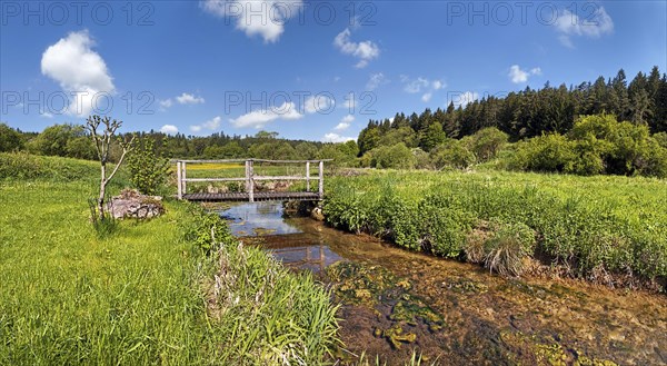 Bridge over the Morsbach stream with green meadows