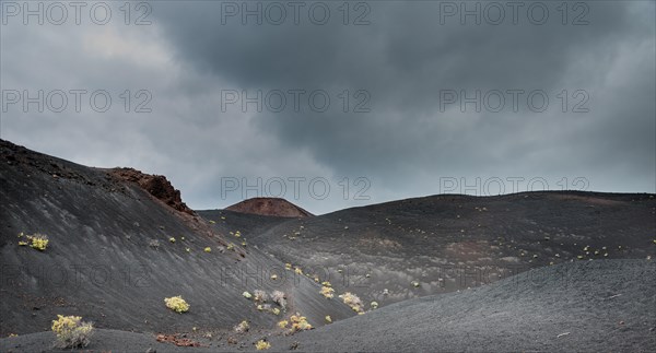 Volcanic Landscape