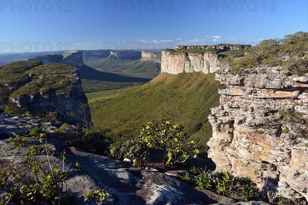 View from Table Mountain Pai Inacio