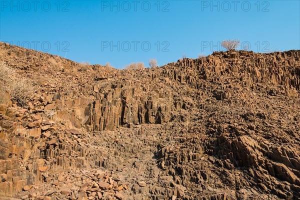 Organ pipes