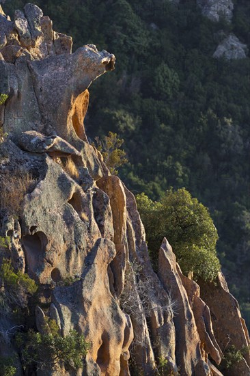 Bizarre rock erosions in the evening light