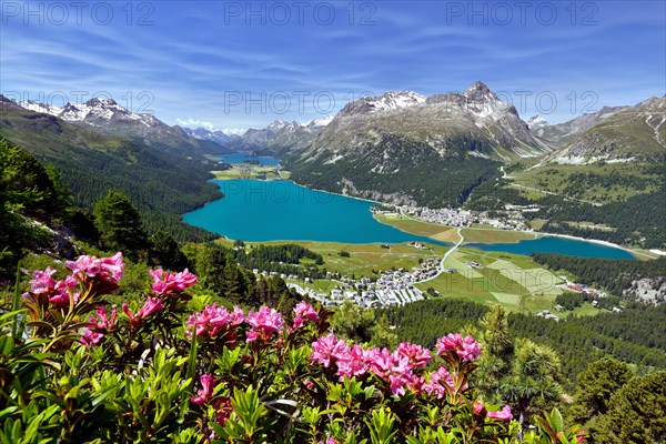 Surlej and Silvaplana with Upper Engadine lakes