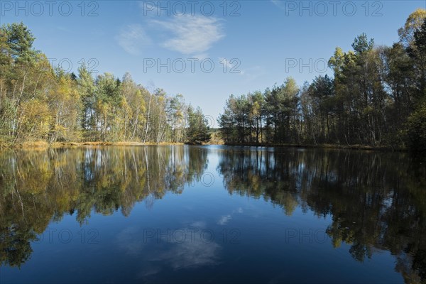 The source of the Neckar River