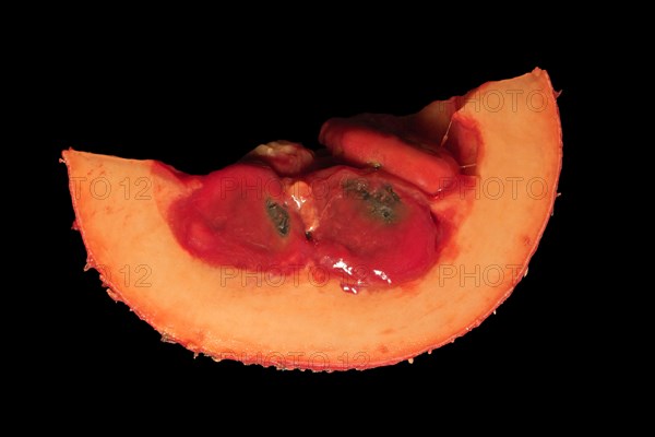 Cut Gac fruit (Momordica cochinchinensis)