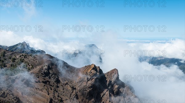 Pico de las Nieves