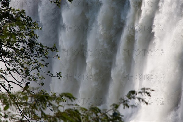 Wall of water