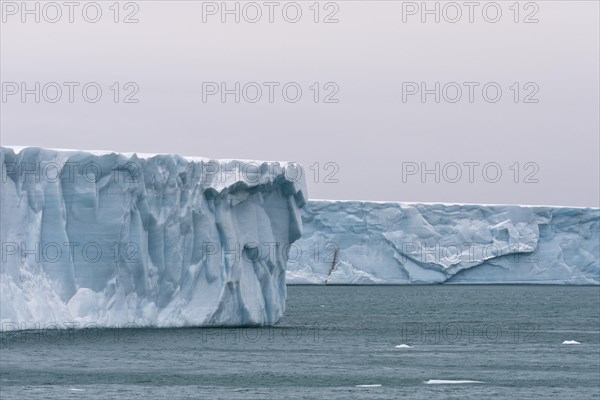 Brasvellbreen