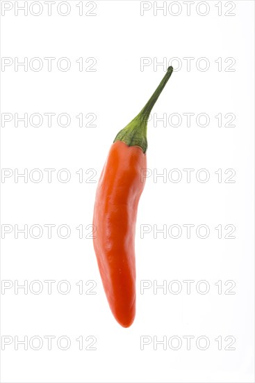 Red chili pepper