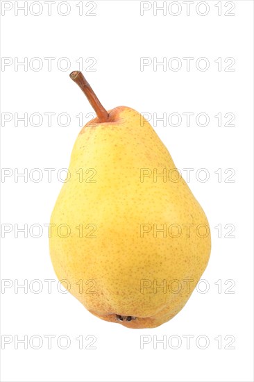 Williams pear