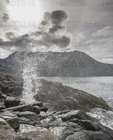 Blowhole on the coast