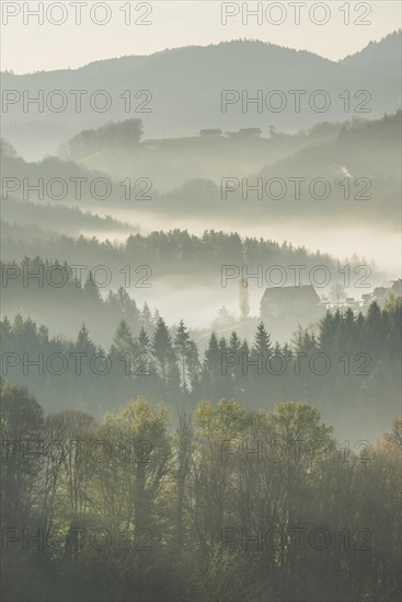Morning mist over wooded hills