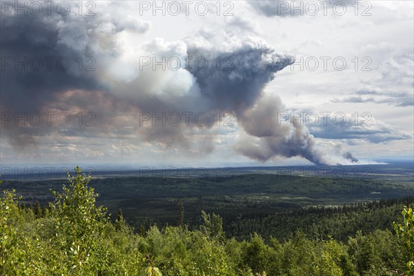 Forest fire after lightning stroke