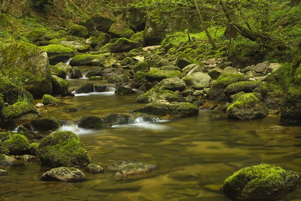 Stillensteinklamm gorge