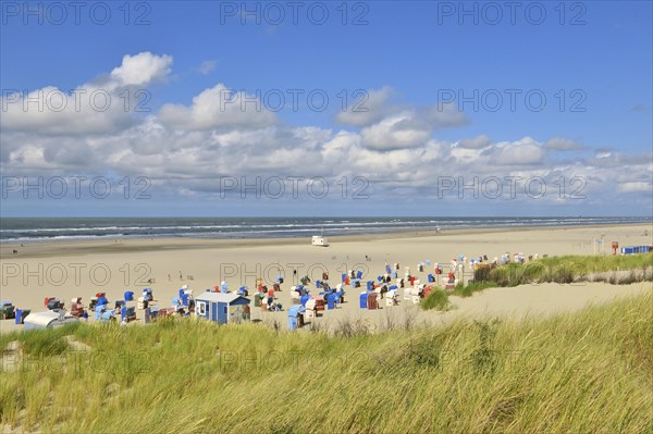 Sandy beach beach