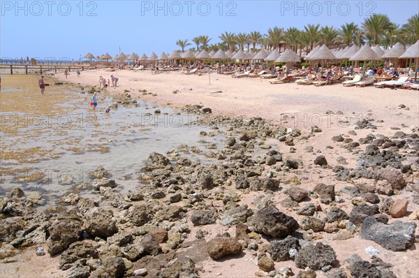 Low tide on Coral Beach