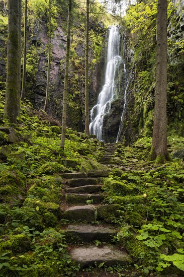 Waterfall in the forest