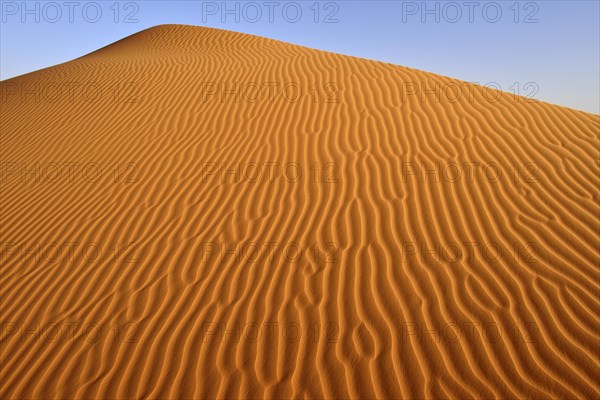 Sand ripples