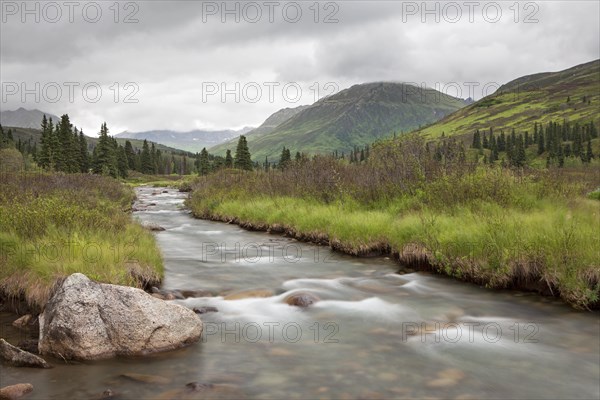 Stream in the Talkeetna Mountains