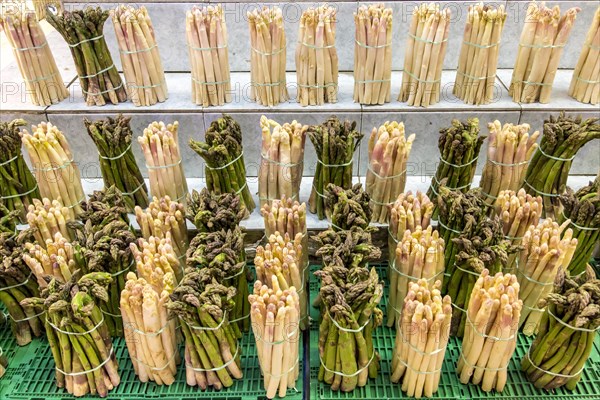 Asparagus
