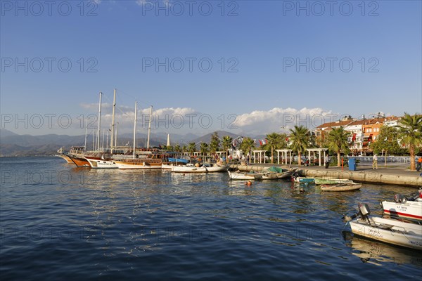 Fishing boats and excursion boats