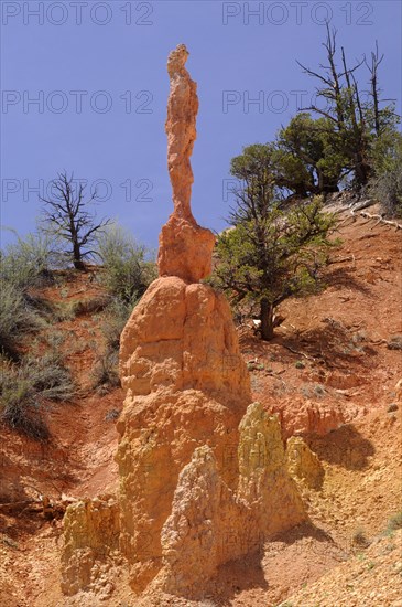 Thin pinnacle of eroded sandstone