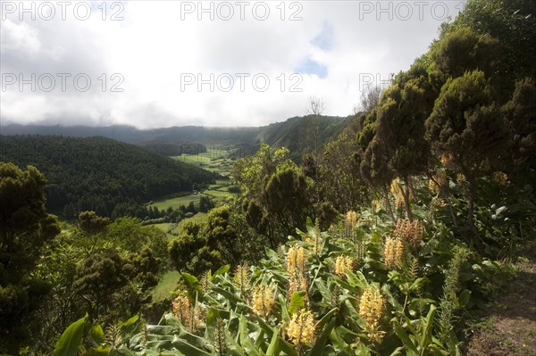 Volcanic crater of Lagoa do Fogo