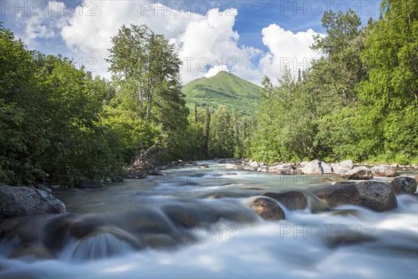 Stream in the Talkeetna Mountains
