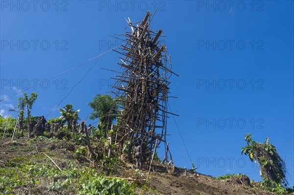 Bamboo tower for Pentecost land diving