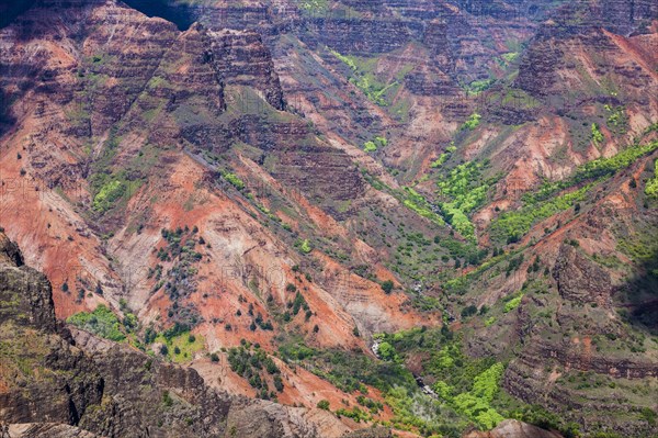 Waimea Canyon