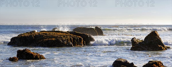 Rocks in the surf with brown algae (Phaeophyceae)