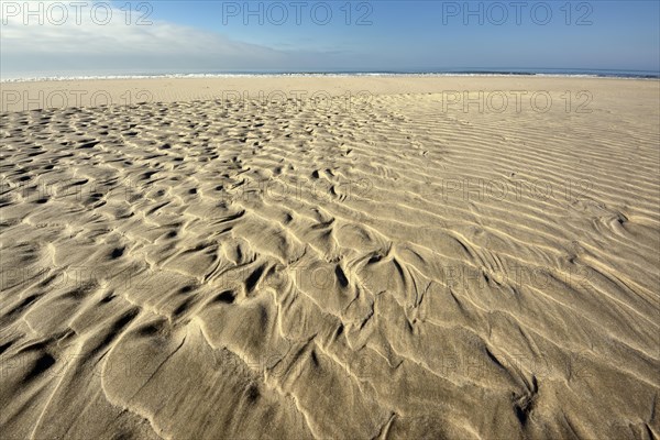 Sand ripple patterns on the beach