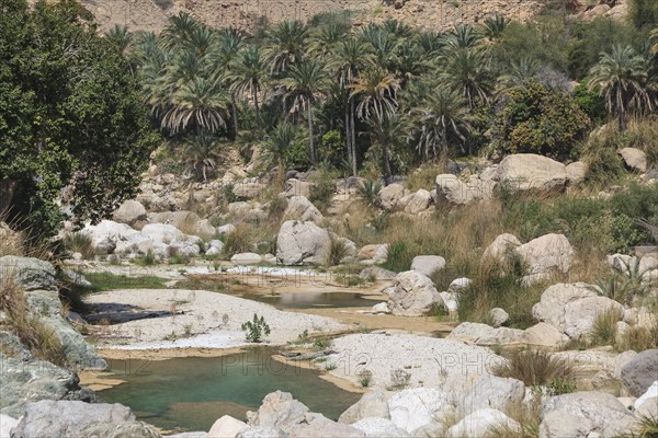 Wadi Tiwi