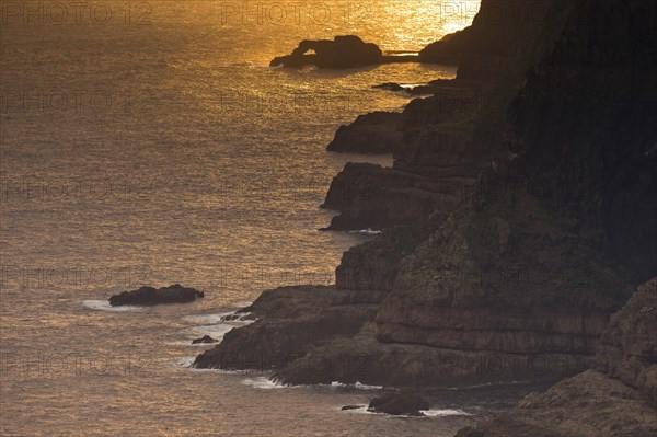 Cliffs and sea in evening light