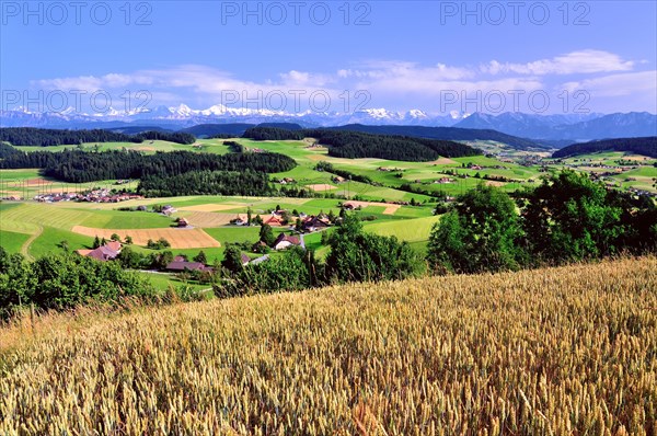 View of the Emmental