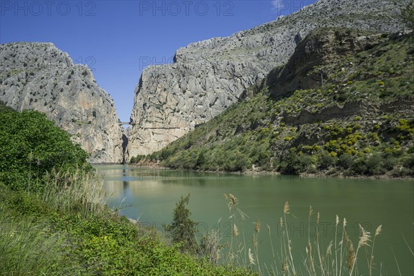 Rio Guadalhorce with Caminito del Rey via ferrata