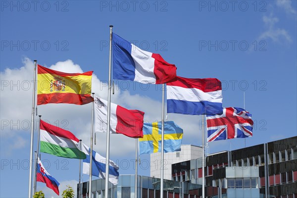 Waving international flags in front of the European Parliament