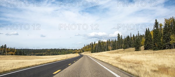 Highway through forest area with cloudy sky