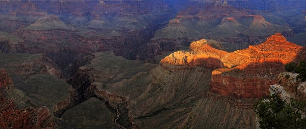 View of the Grand Canyon in the evening light