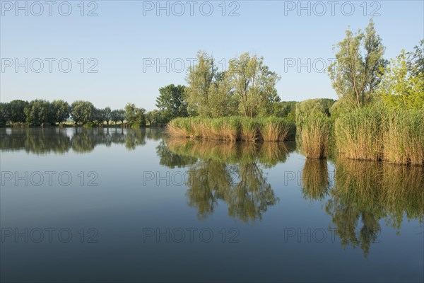 Pond landscape