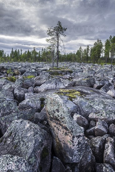 Plain covered in rocks