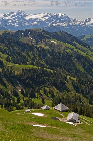 Pre-alpine landscape with alpine cabins