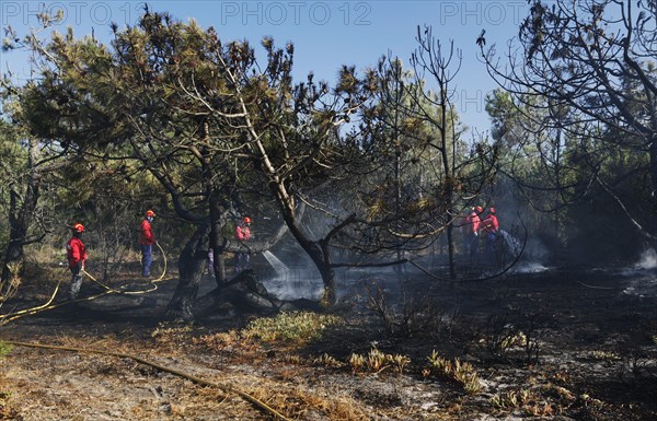 Fire brigade putting out a bush fire