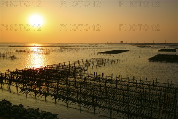 Fish farm at sunset
