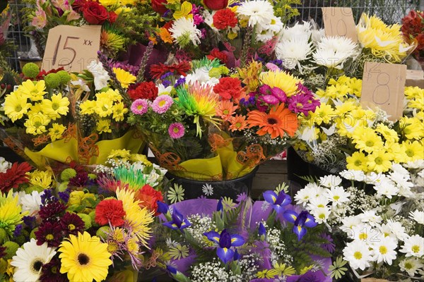 Bouquets of gerbera