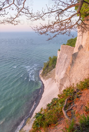 View of the Baltic Sea from the chalk coast