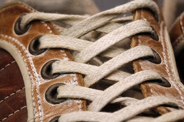 Laces of a leather shoe