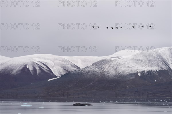 Monacobreen glacier