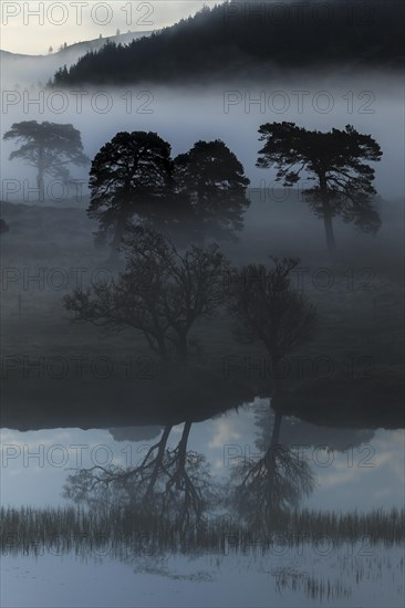 Early morning fog at Loch Arkaig