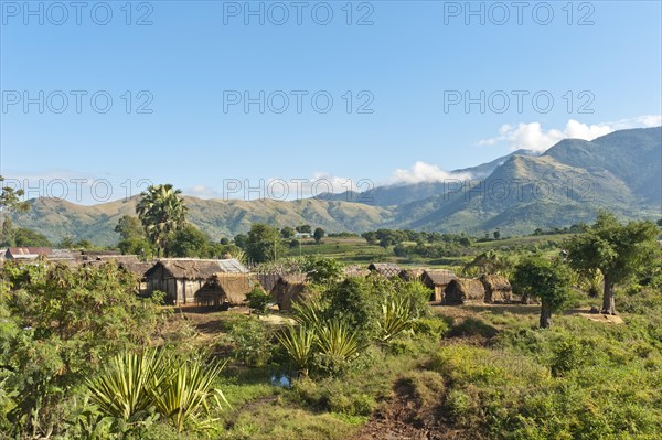 Huts in the village of the Antandroy people